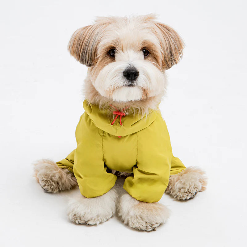 Latta Filmcover All-in-one windbreaker (3types) - kikiandpuppies