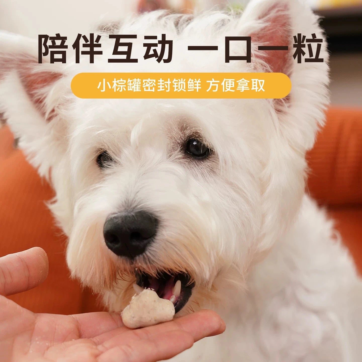 TAI YANG JIA Functional Freeze-Dried Dog Treat – Brown Can Collection - kikiandpuppies
