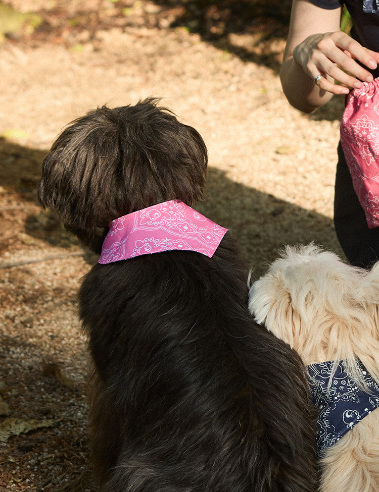 Joybear Bug Guard Bandana Reversible Bibs
