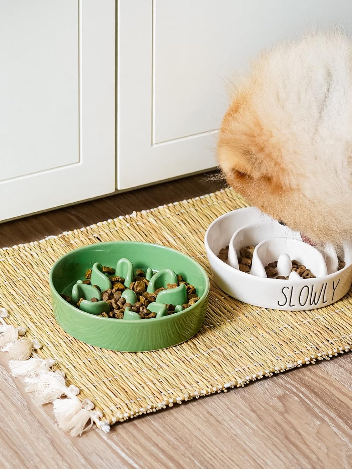 LE TAUCI Slow Feeder Bowl – Durable Ceramic, Healthy Eating for Dogs - kikiandpuppies