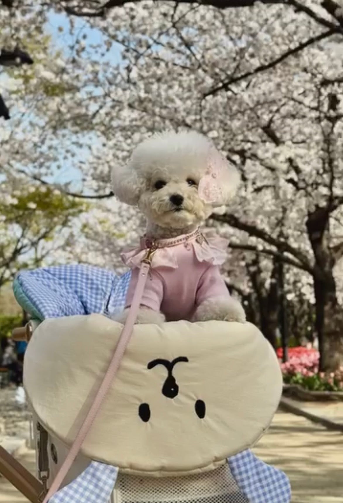 Taaffe Hug Me Snuggle Blanket Check - kikiandpuppies