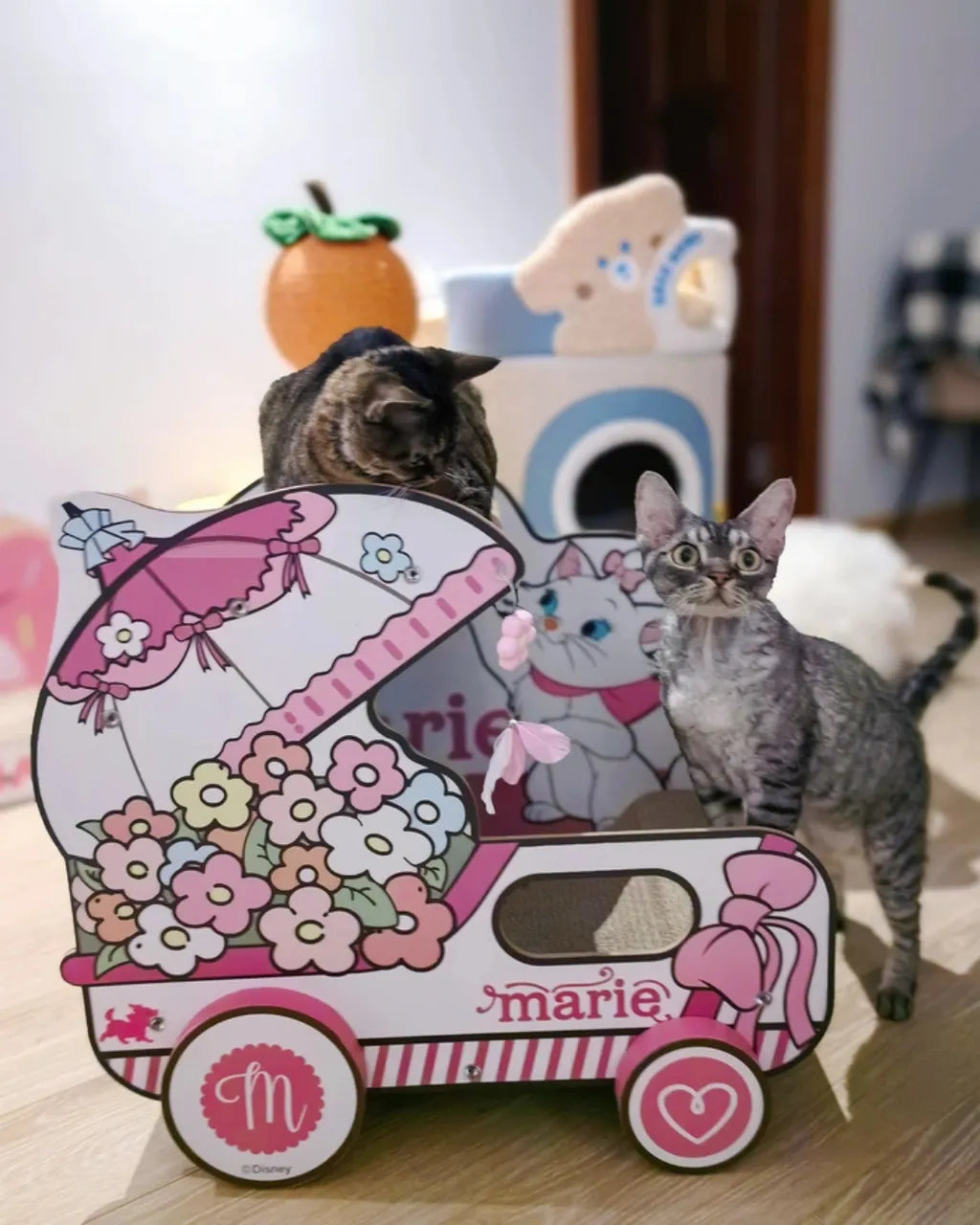 Marie Cat Scratching Board