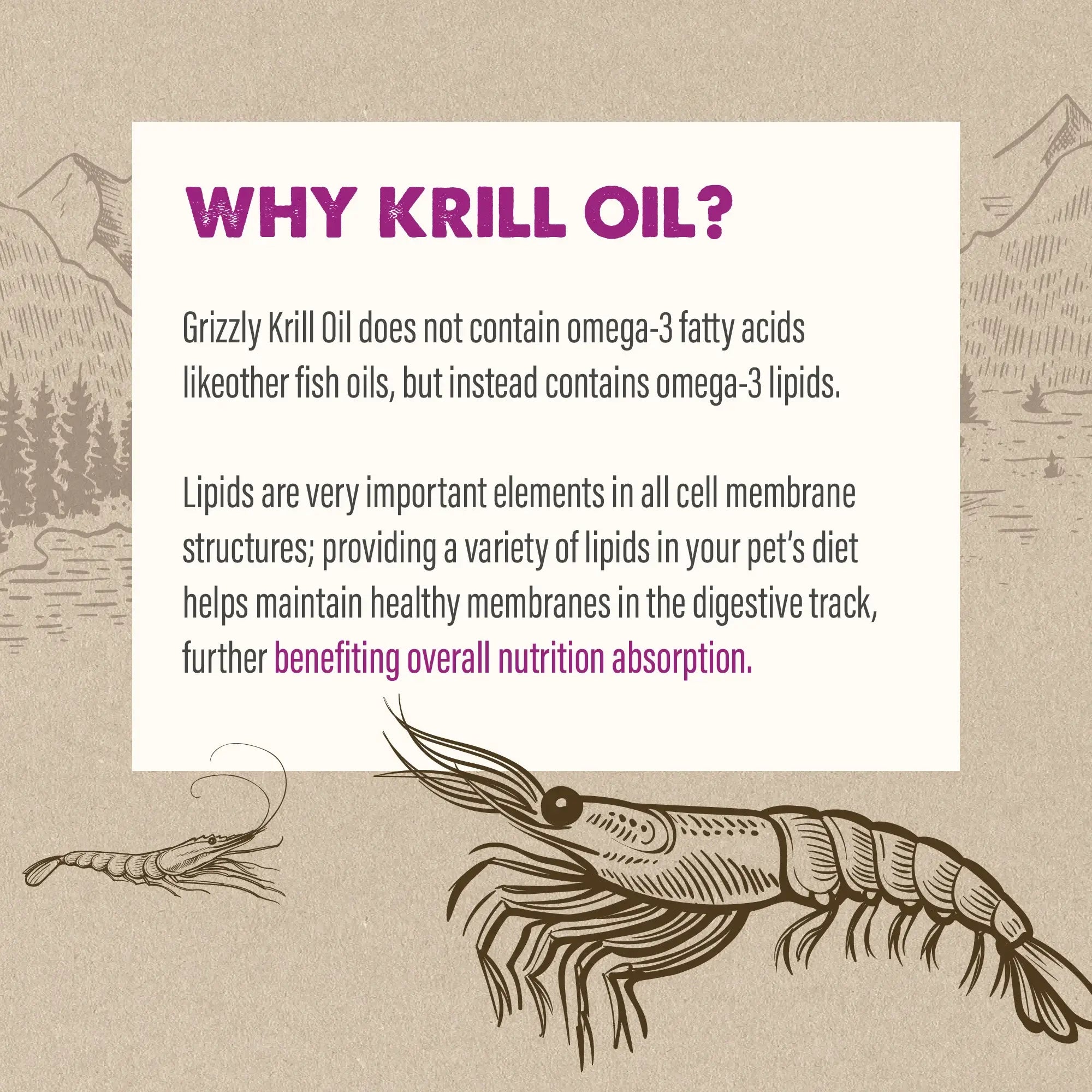 Grizzly Krill Oil Liquid Supplement 237ml