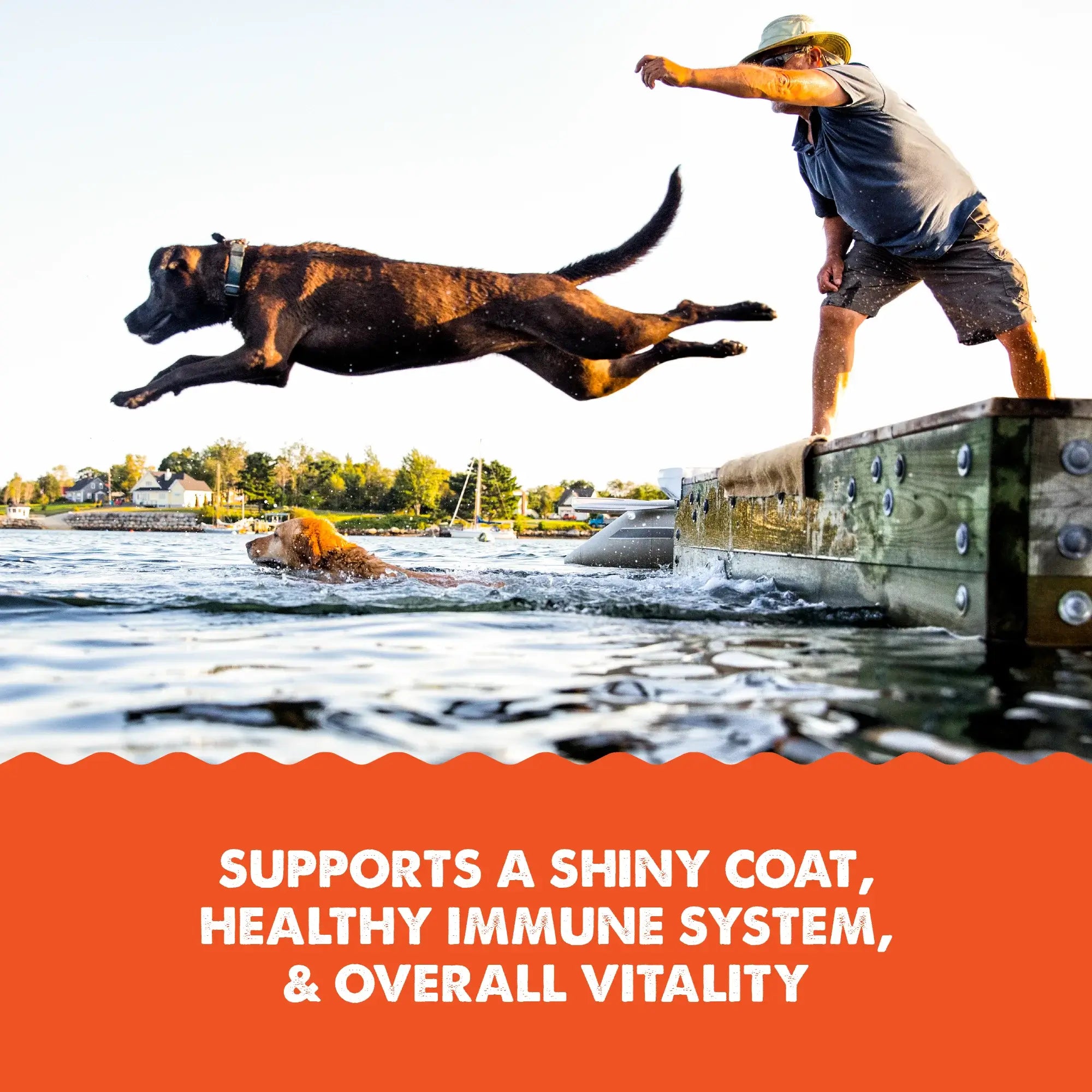 Grizzly Salmon Oil Plus Omega 3-6-9 Dog Food Supplement 237ml