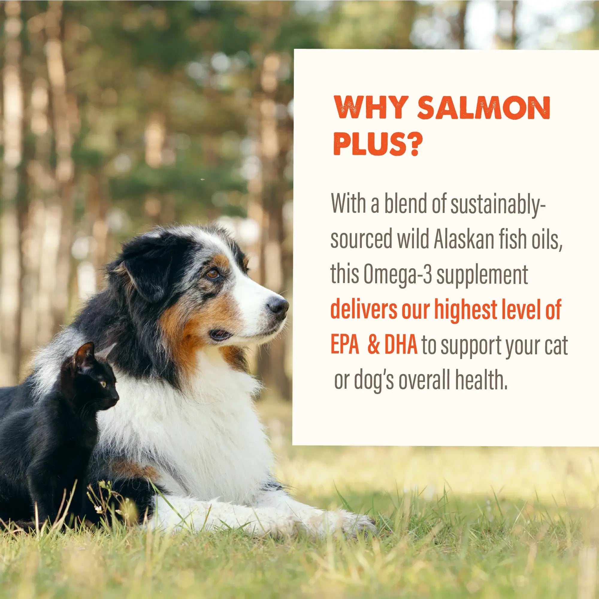 Grizzly Salmon Oil Plus Omega 3-6-9 Dog Food Supplement 237ml