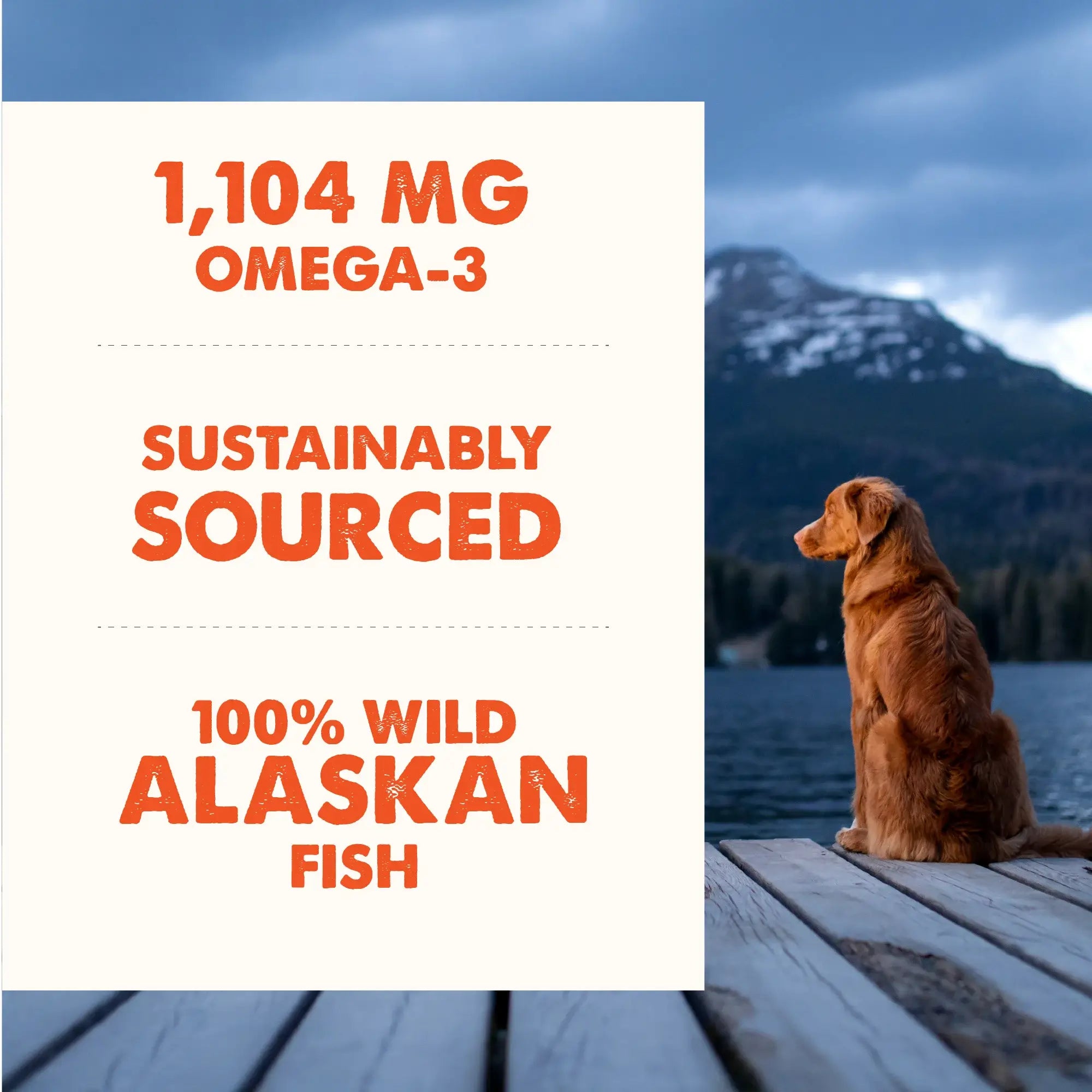 Grizzly Salmon Oil Plus Omega 3-6-9 Dog Food Supplement 237ml