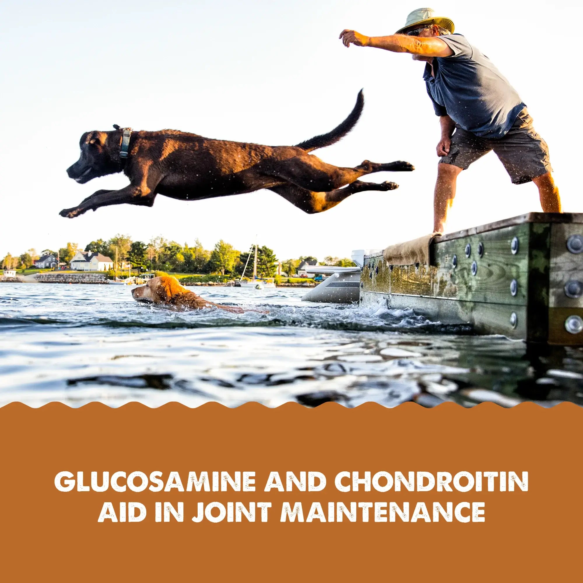 Grizzly Joint Aid Hip & Joint Support Liquid For Dogs & Cats 473ml