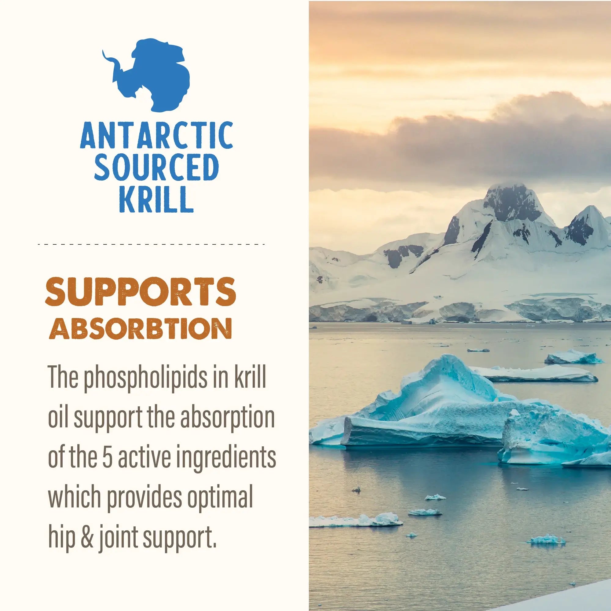 Grizzly Joint Aid Hip & Joint Support Liquid For Dogs & Cats 473ml