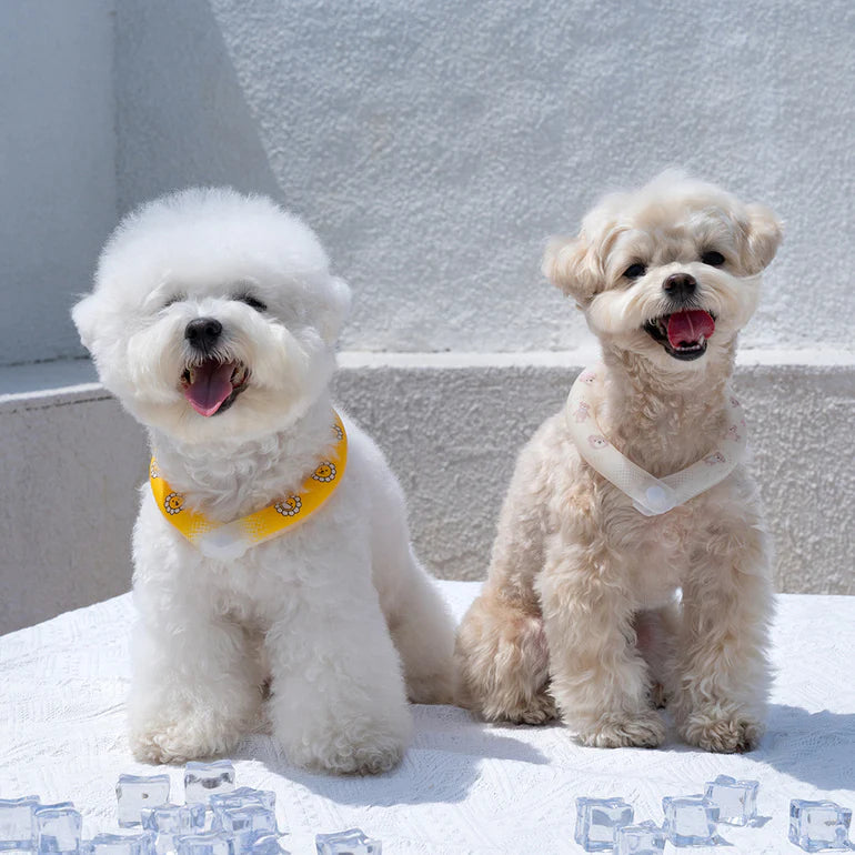 Summer Cooling and Soothing Neck Collar for Pets with Nighttime Glowing Light (2 Colors)