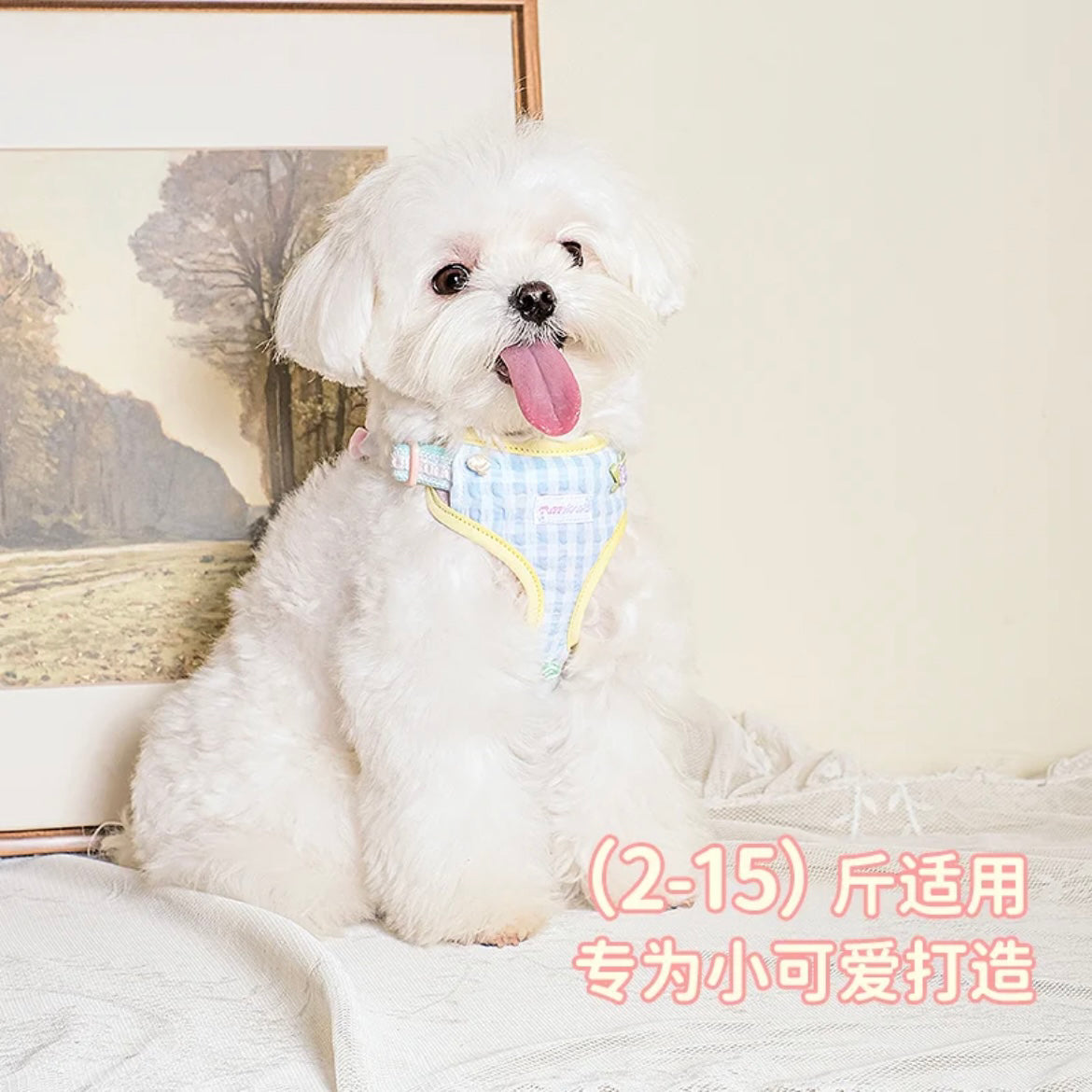 TuffHound Ballet Pet Harness Ultra-Light for Small Dogs and Cats