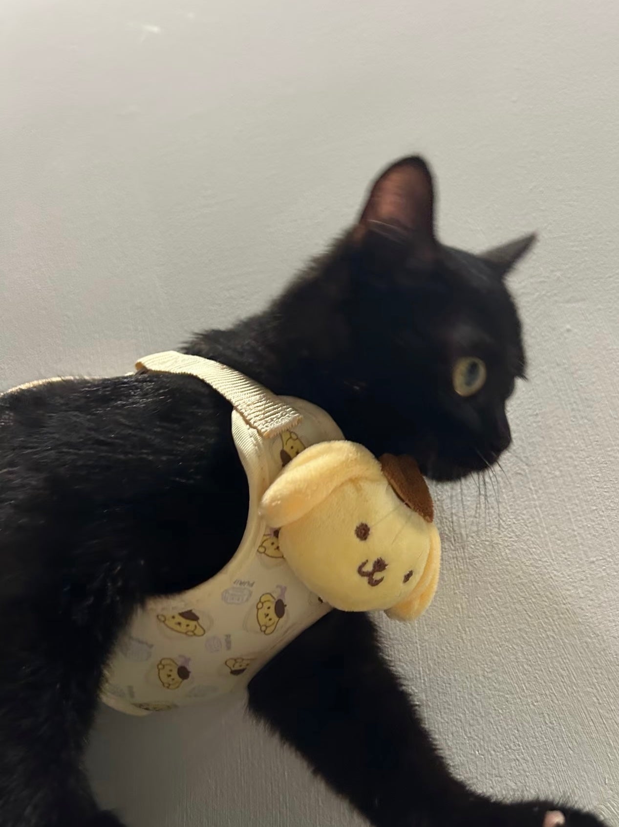 Sanrio Pet Cute Harness