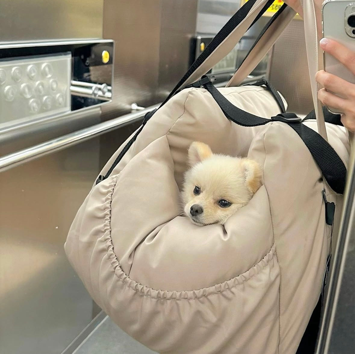 Woolly Creamy Pet Car Seat/ Sofa - kikiandpuppies