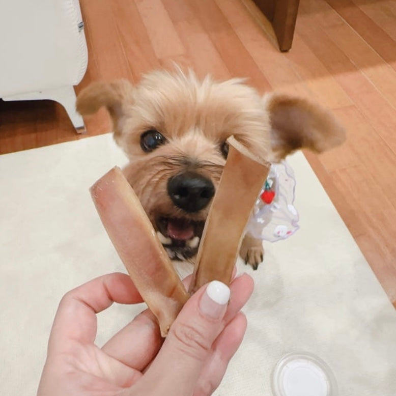 GOLDRONY YES I'M REAL Pork Ears