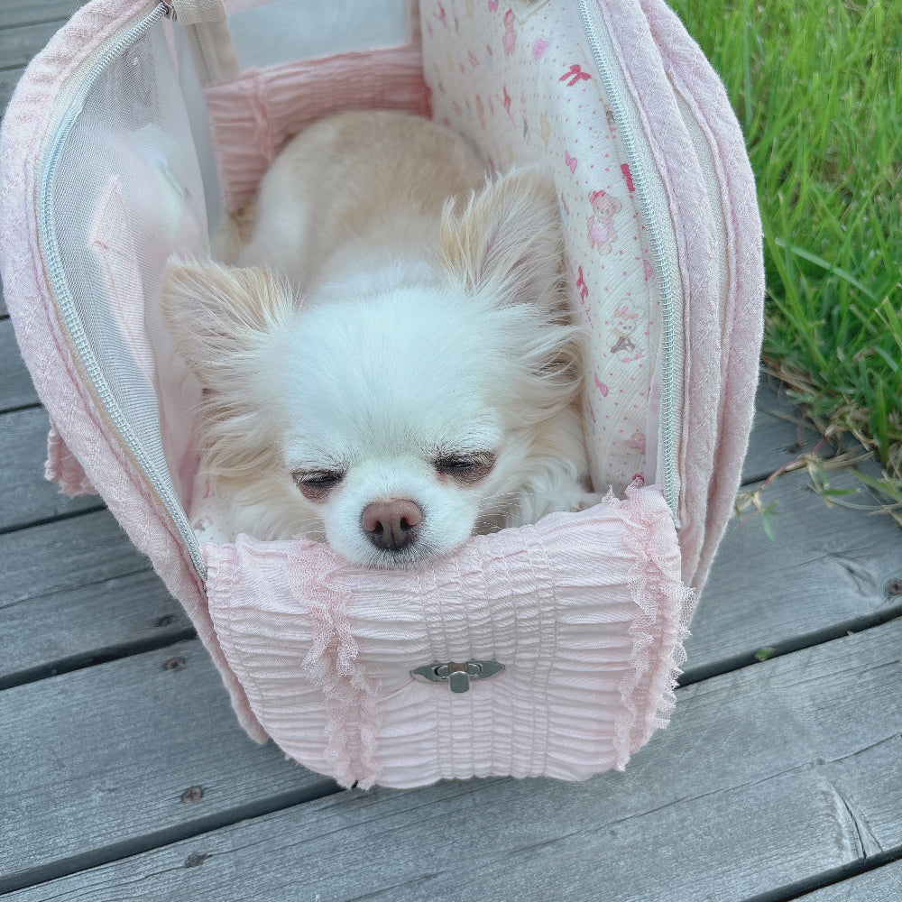 Ajibaek Cube See-through Blush Pink♡ Pet Carrier Bag With Cushion