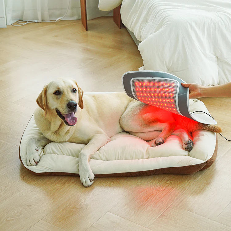 Cirius Pet Near-Infrared Joint Pads - PRO | Large Size | Suitable for Reclining Therapy - kikiandpuppies