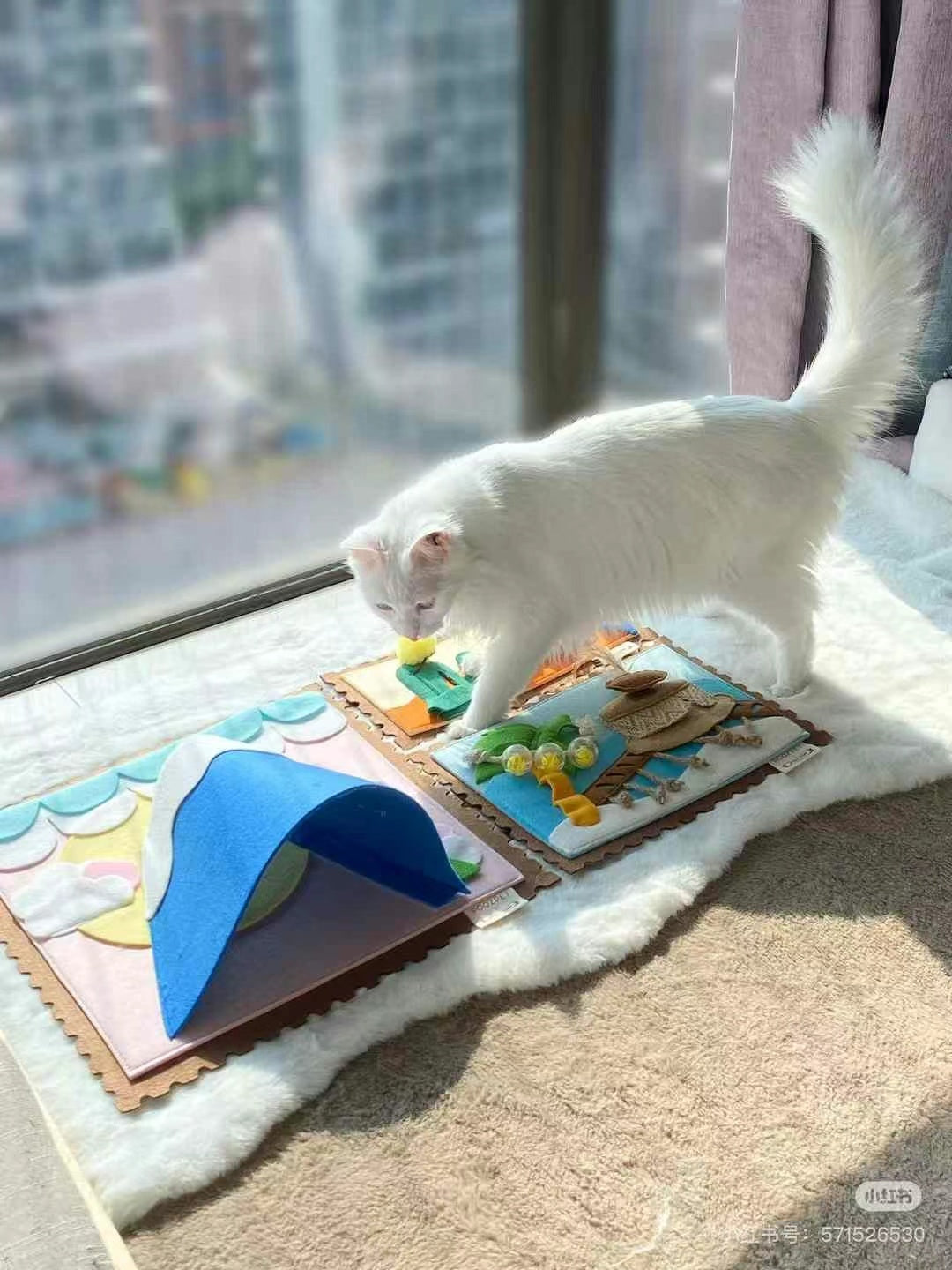 POOZPET Cat Training Relaxing Toy - World Map - kikiandpuppies
