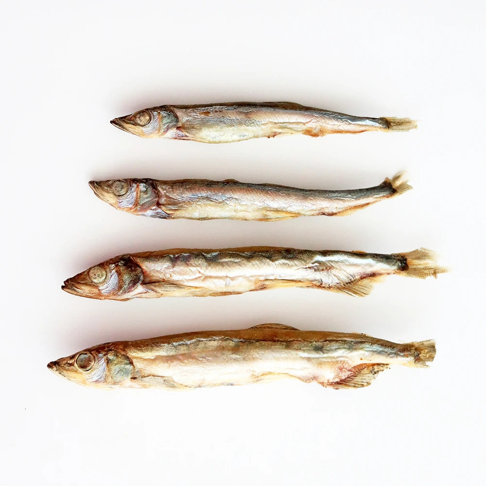 Matroos Freeze-Dried for Dogs & Cats - Capelin - kikiandpuppies