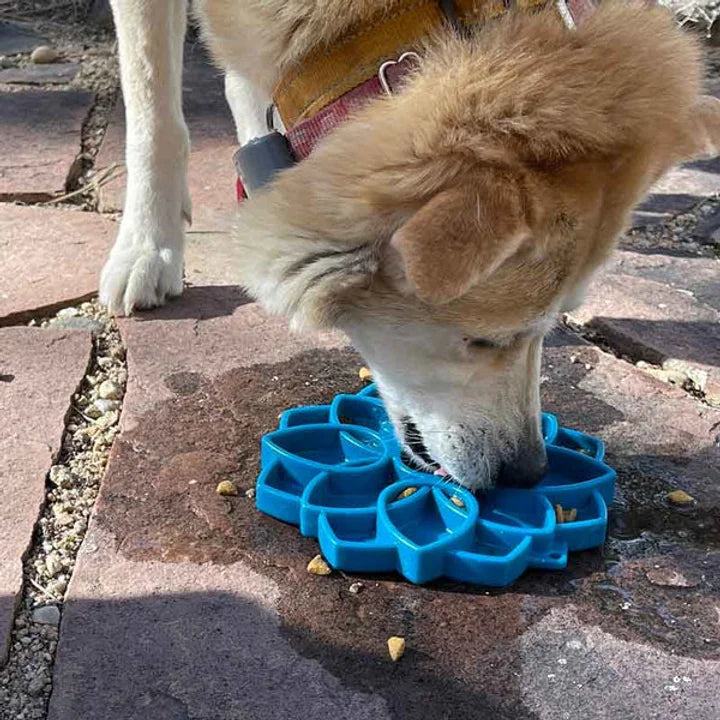 Sodapup Mandala eTray Enrichment Tray (Blue) - kikiandpuppies