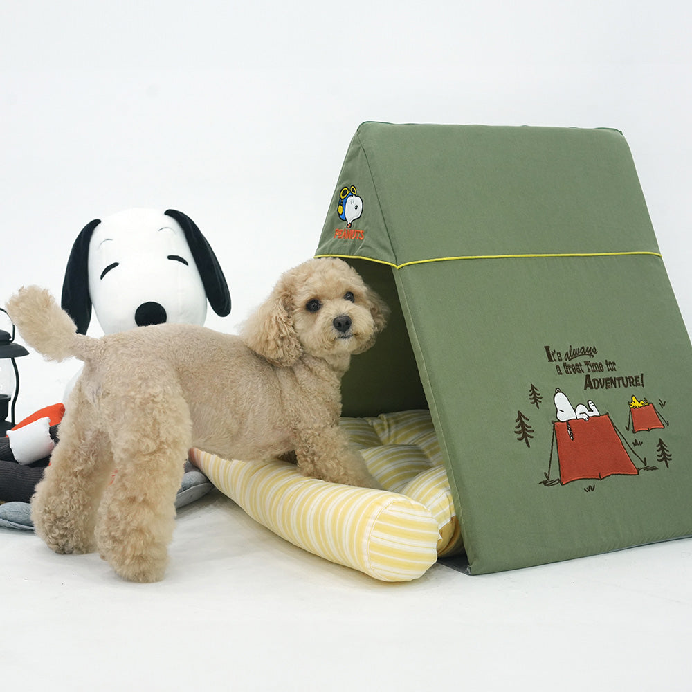 PEANTUS Adventure Tent House (including cushion)