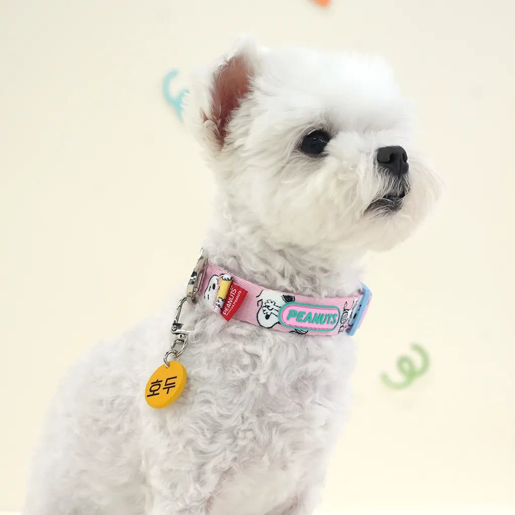 Peanuts Theme Collar - kikiandpuppies
