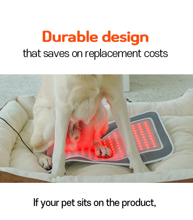 Cirius Pet Near-Infrared Joint Pads - PRO | Large Size | Suitable for Reclining Therapy - kikiandpuppies