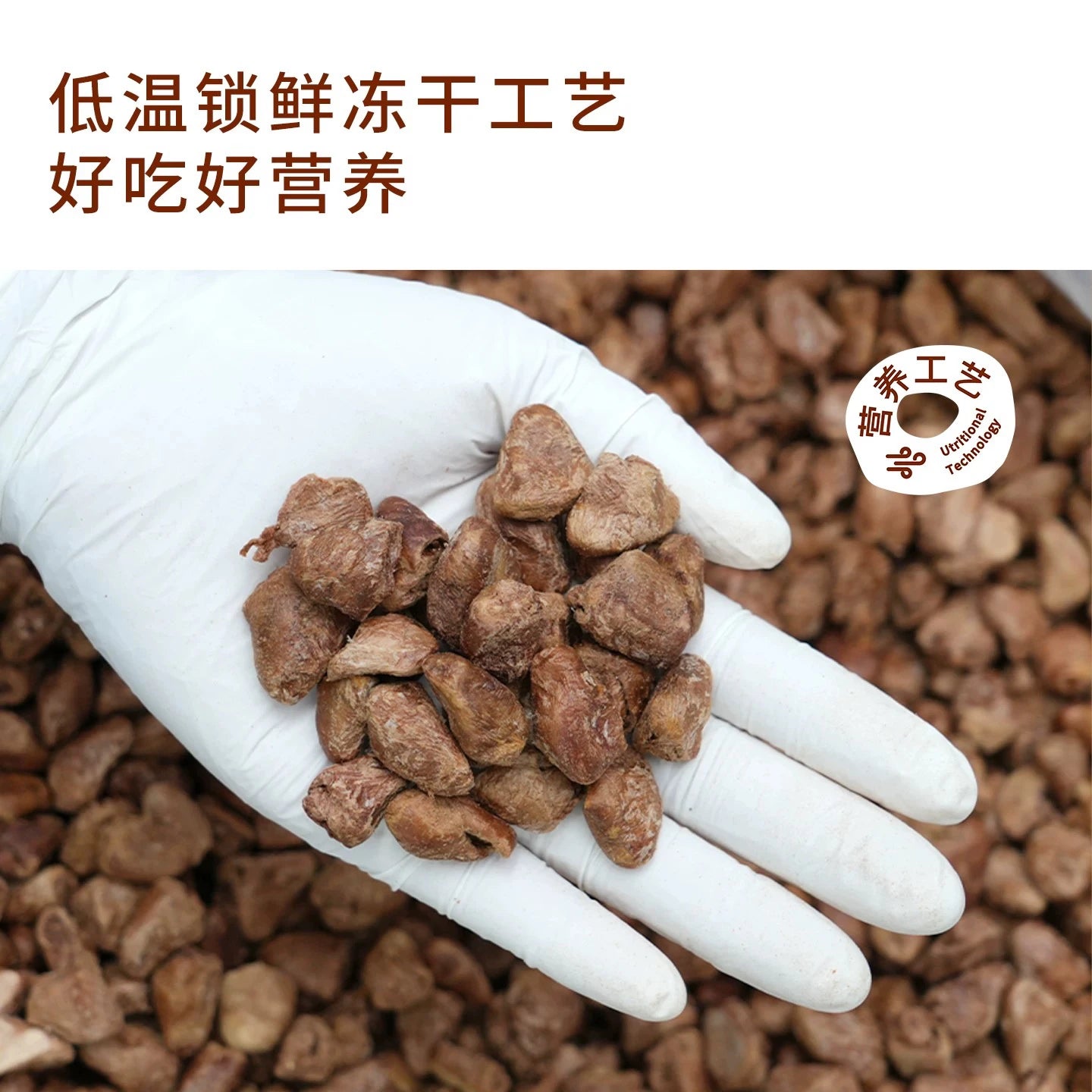 TAI YANG JIA Freeze-dried whole pigeon heart 95g - kikiandpuppies