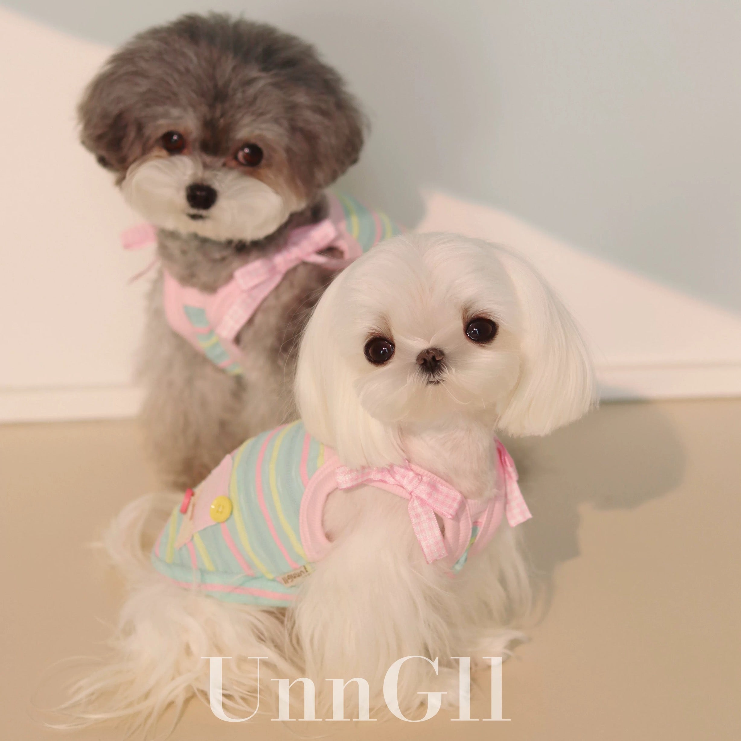 Cooling Colorful Striped Sun-Proof Pet Vest