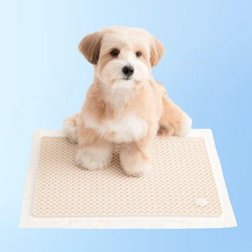 Zero Guard Silicone Mat - kikiandpuppies