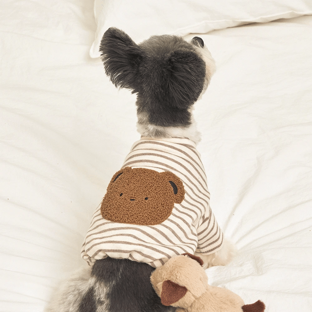 Little Bear Striped crop