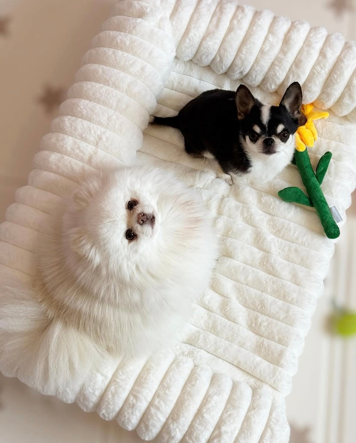Trendy Striped Faux Lambswool Double Layer Dog & Cat Sofa Bed