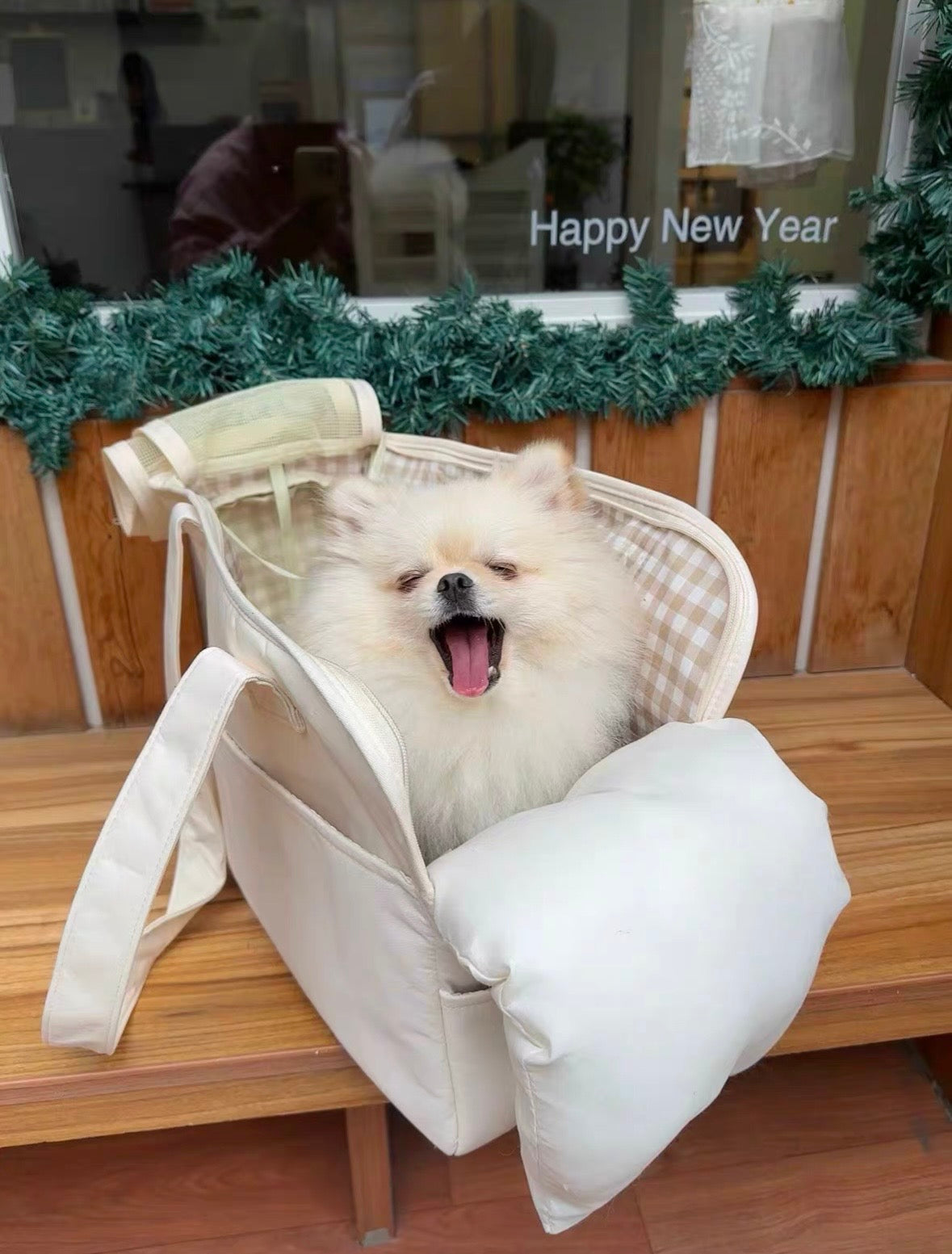Lightweight Foldable Pet Carrier with Pillow Bag