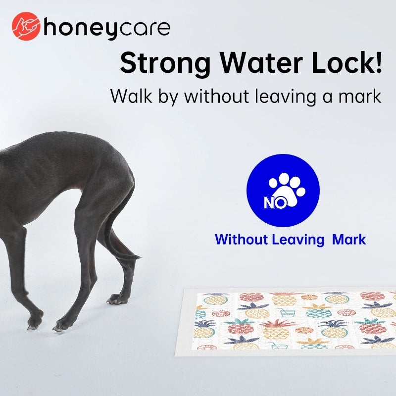 Honeycare Pet Wee Wee Pad Training Pad for Dog - kikiandpuppies