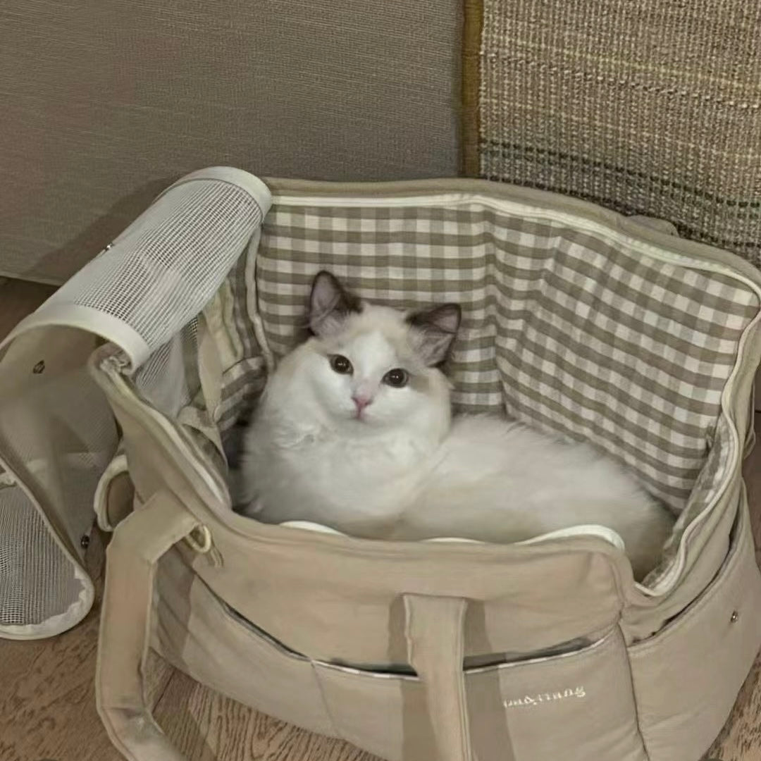 Ba&ttang Pet Carrier Bag - kikiandpuppies