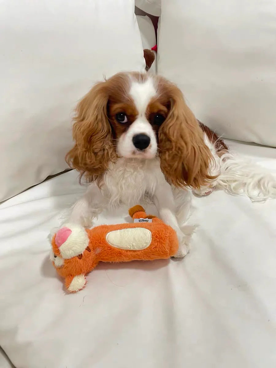 Petsville Winnie the Pooh Dog Cat Tug Toy - kikiandpuppies