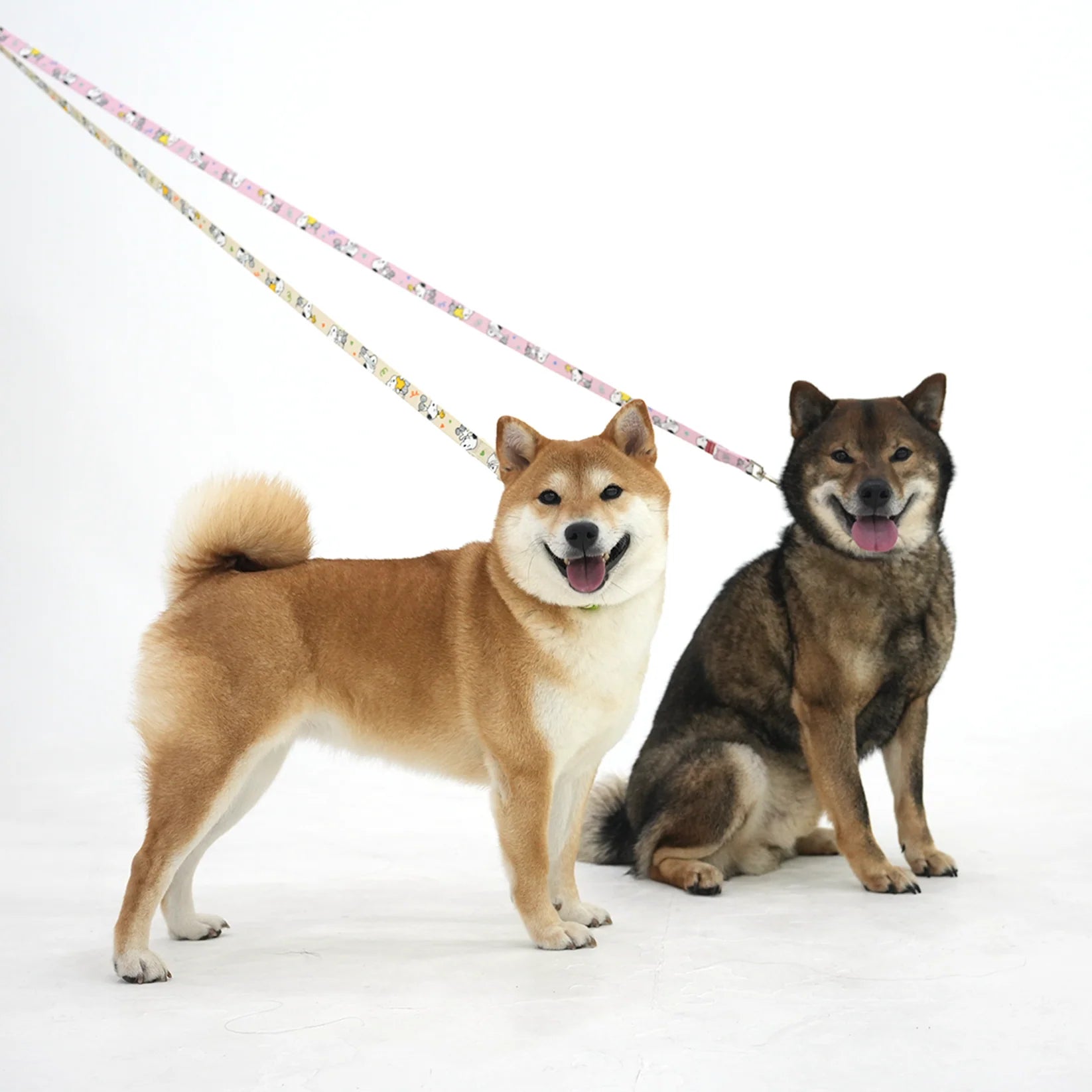 Peanuts Theme Leash - kikiandpuppies