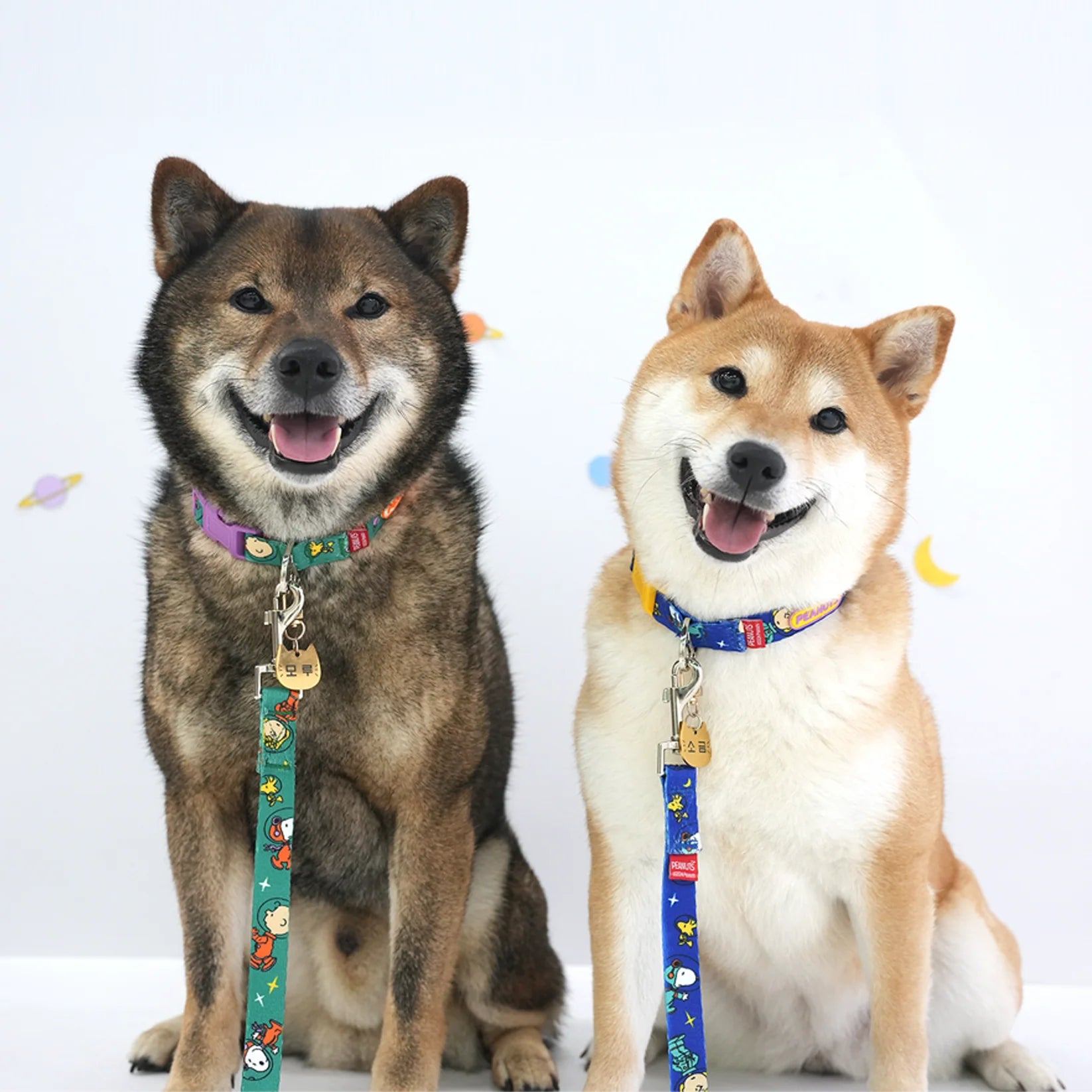 Peanuts Theme Leash - kikiandpuppies