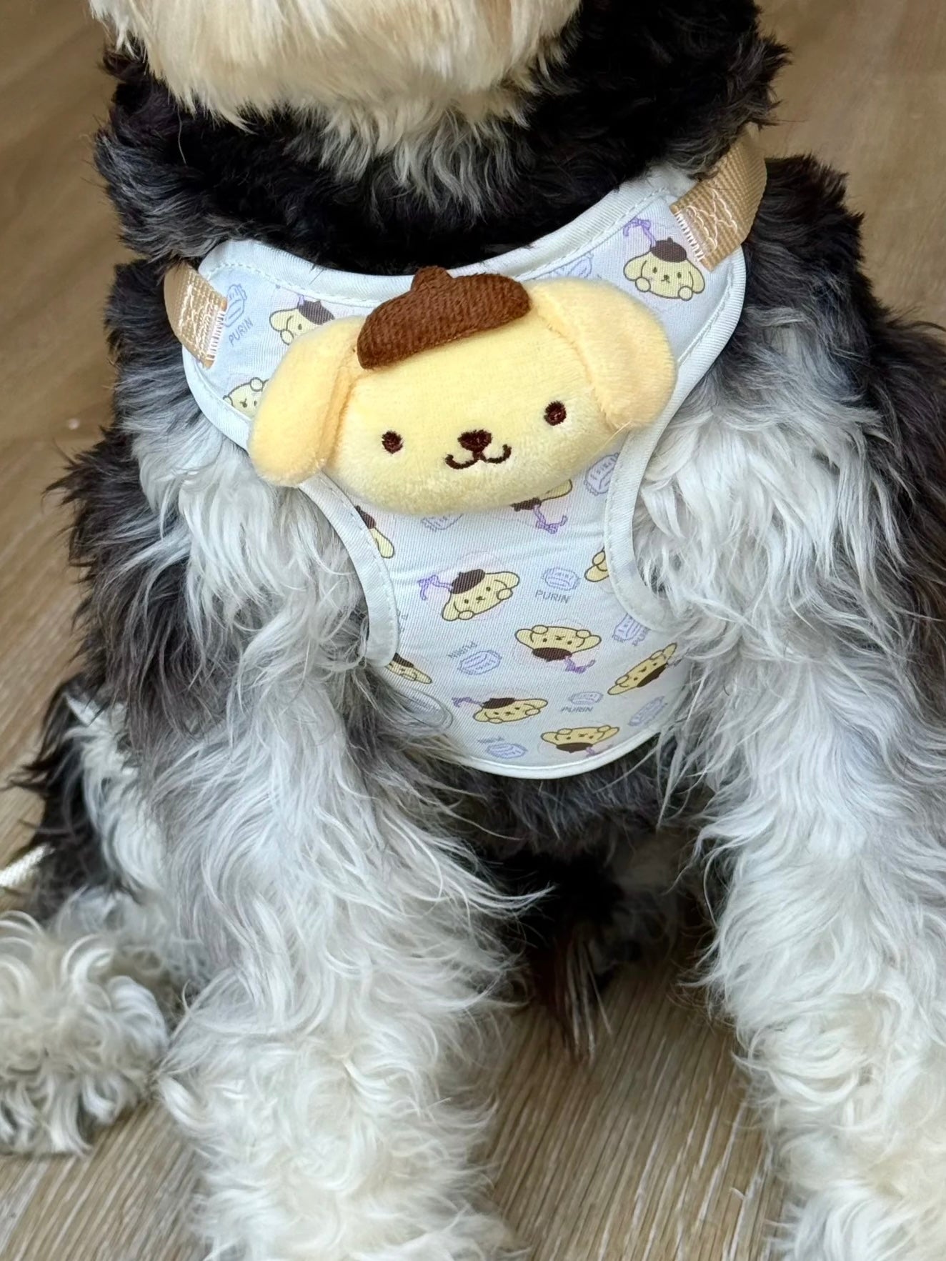 Sanrio Pet Cute Harness