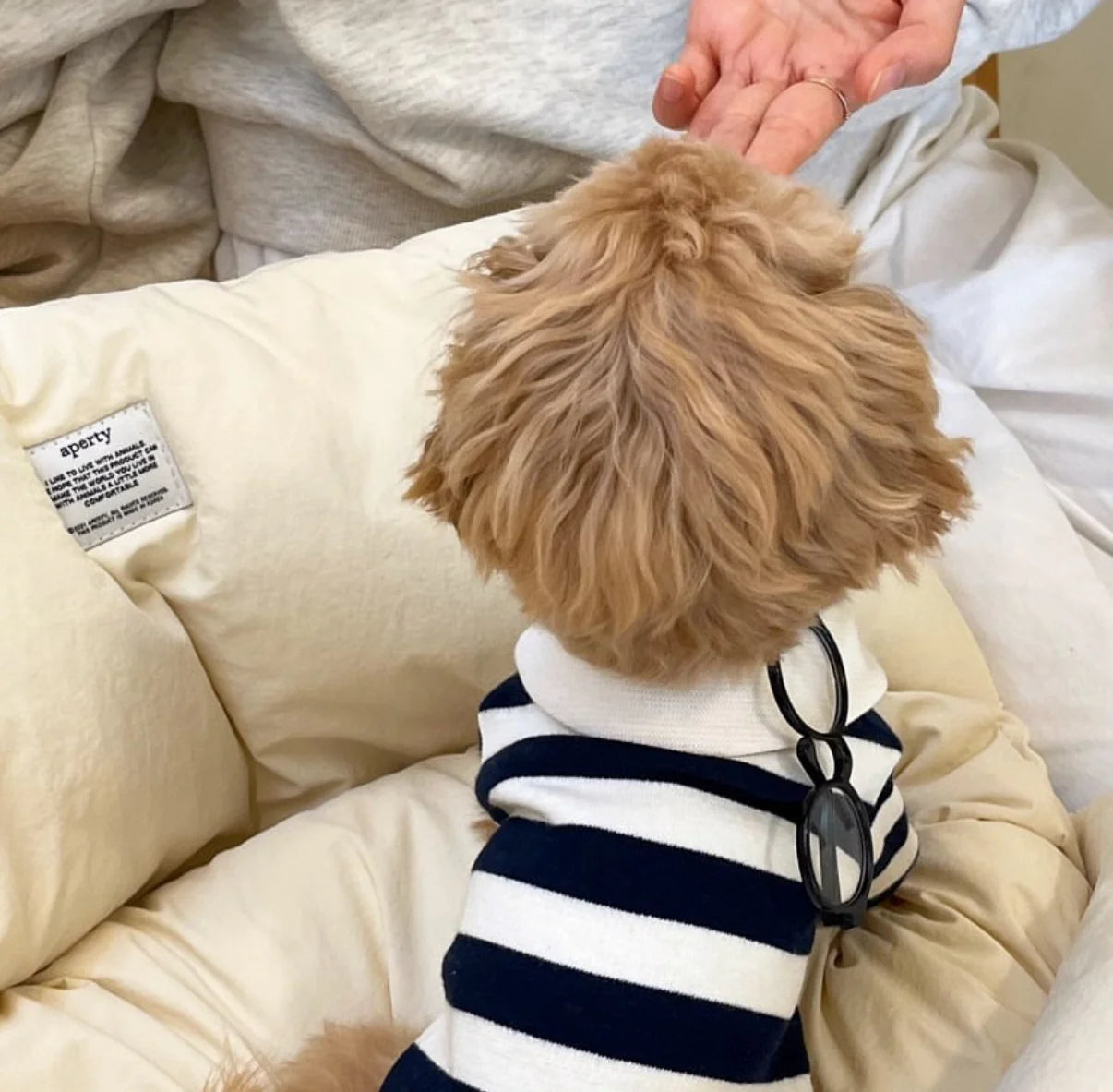 Classic Striped Polo Shirt - 2 Colors - kikiandpuppies