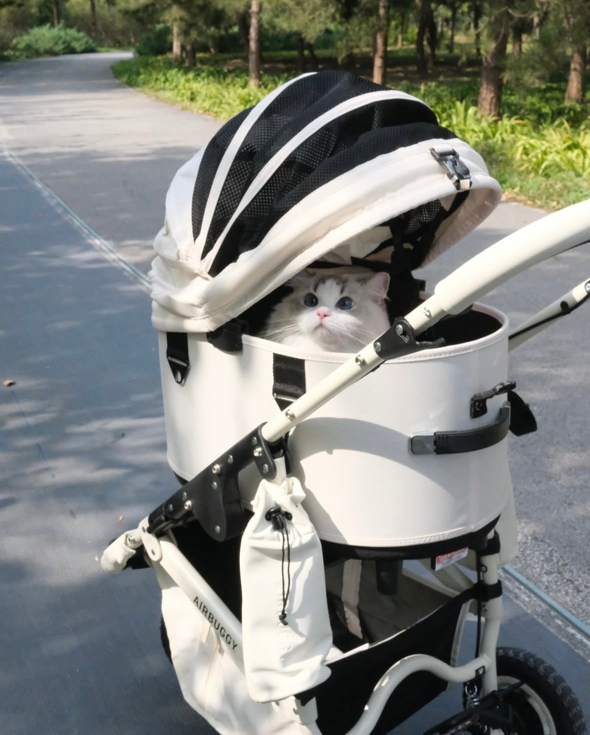 『LIMITED EDITION』Airbuggy DOME3 PREMIER SERIES - kikiandpuppies