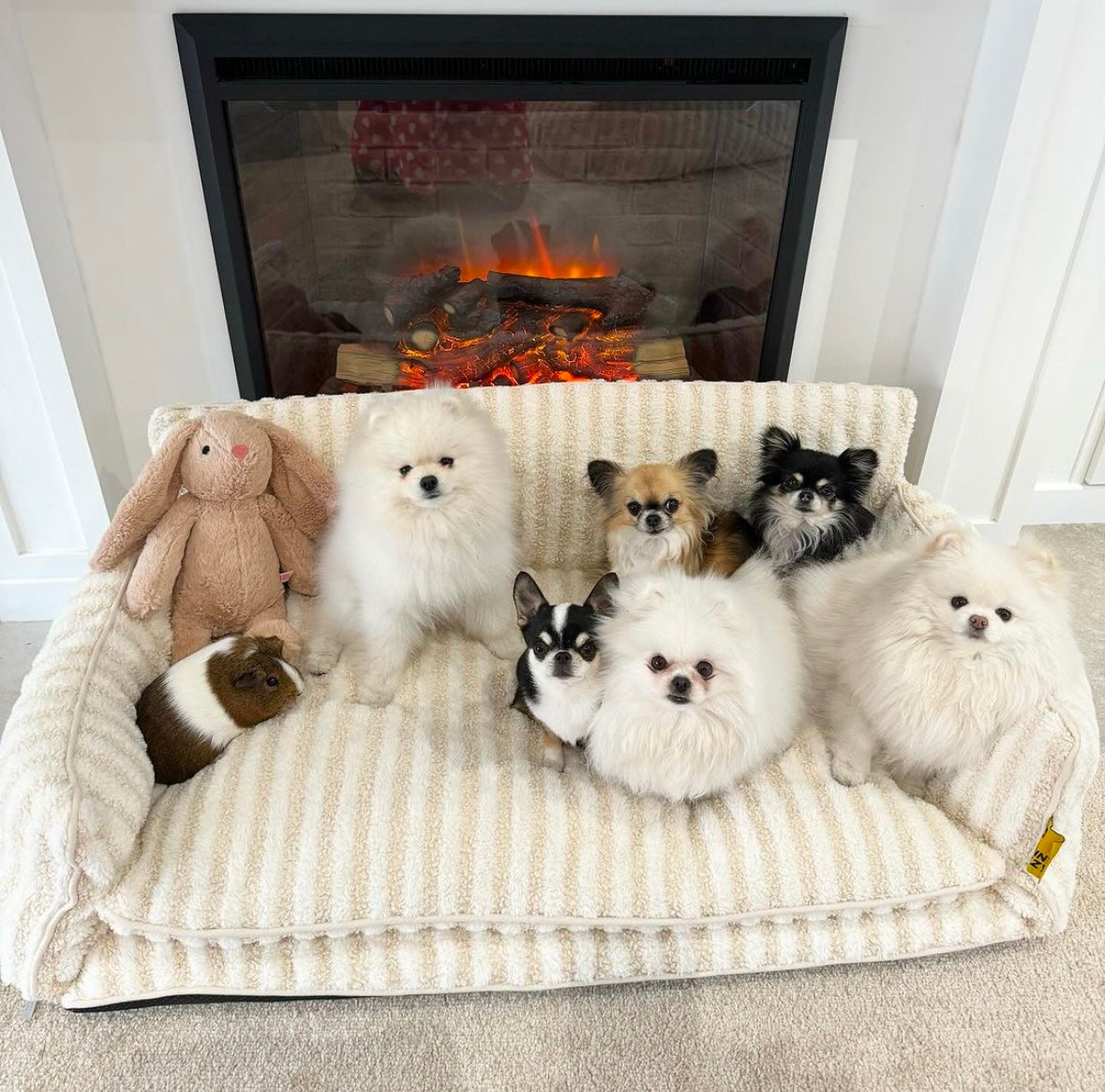 Trendy Striped Faux Lambswool Double Layer Dog & Cat Sofa Bed