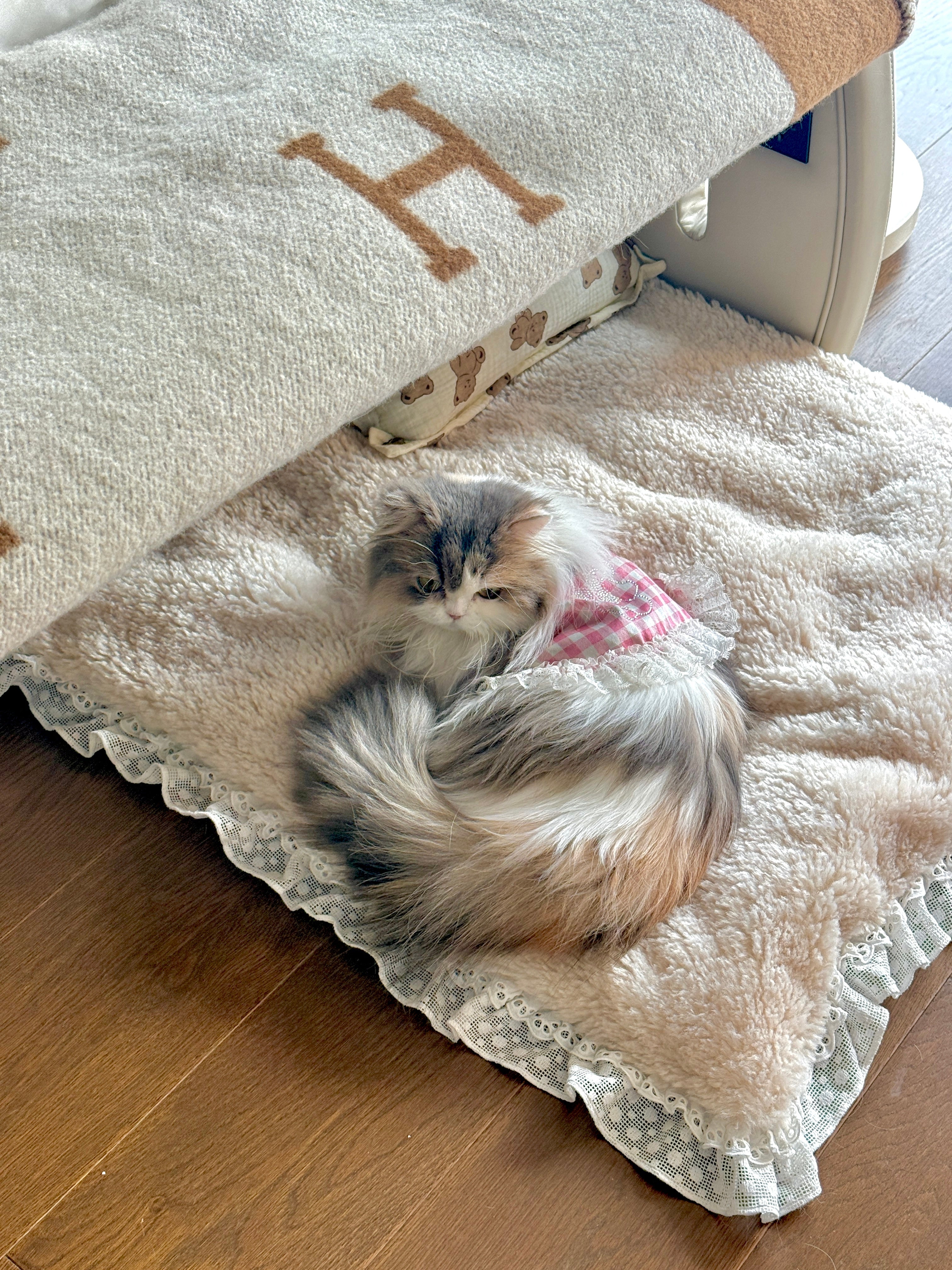 Nifty Fairy Pet Dog Cat Fluffy Blanket Removable Bed