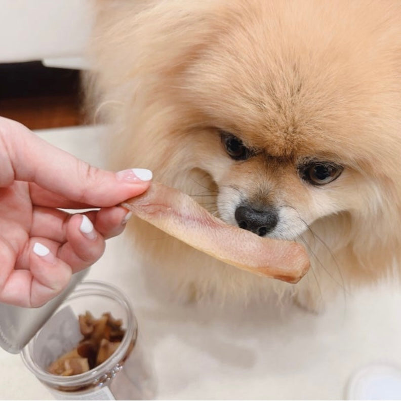 GOLDRONY YES I'M REAL Pork Ears