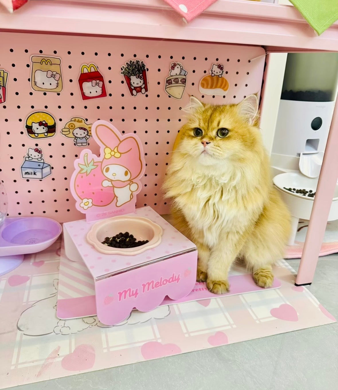 My Melody Pet Cereal Bowl With Tray