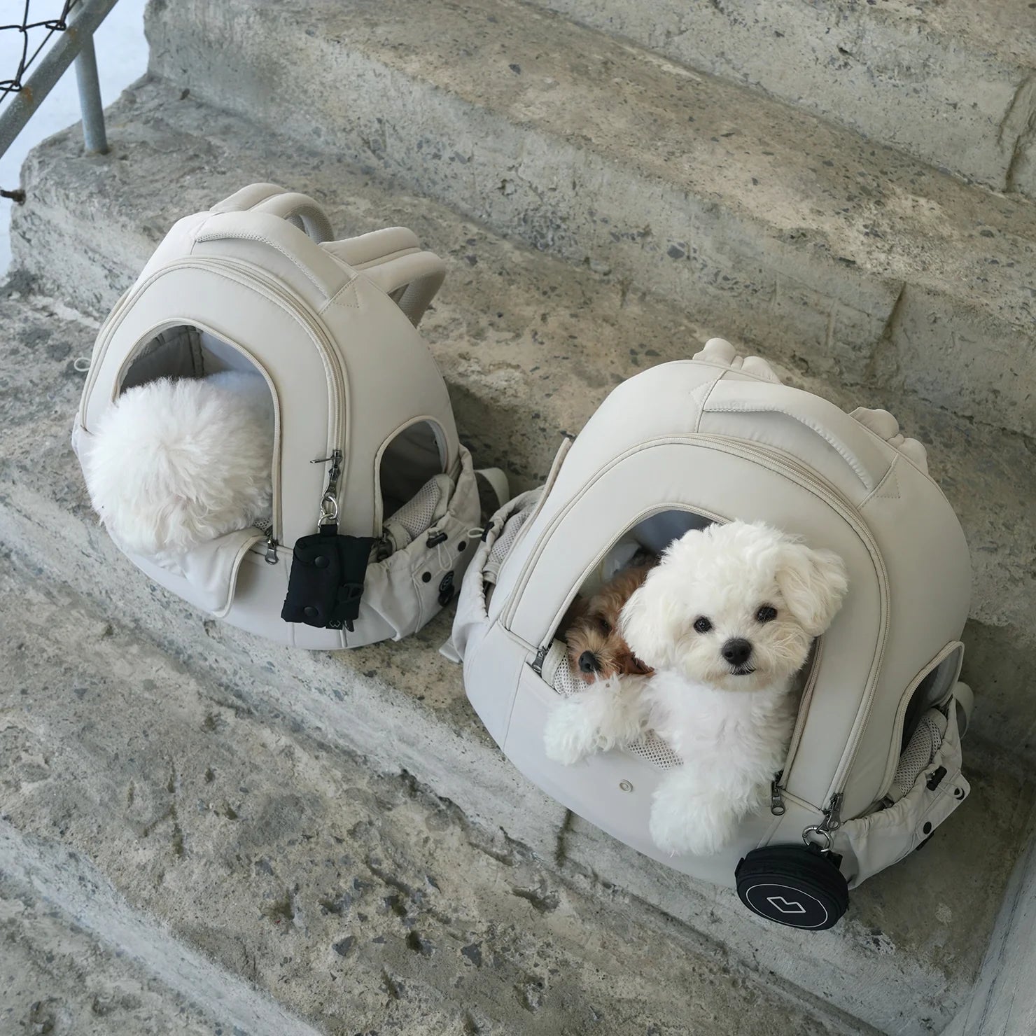 [SO-CA413] SSOOOK DOUBLE WINDOW FRONT BAG - kikiandpuppies