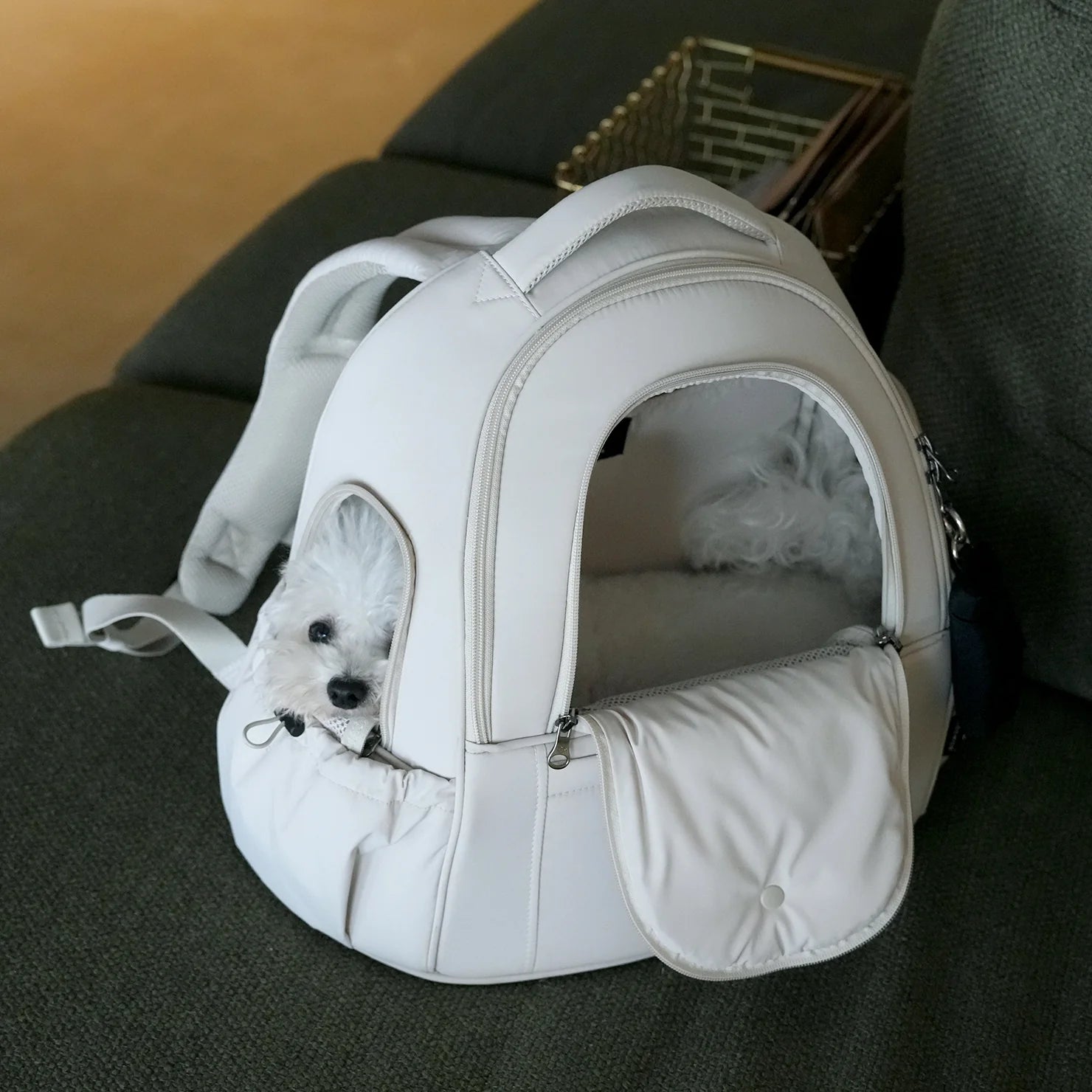 [SO-CA413] SSOOOK DOUBLE WINDOW FRONT BAG - kikiandpuppies