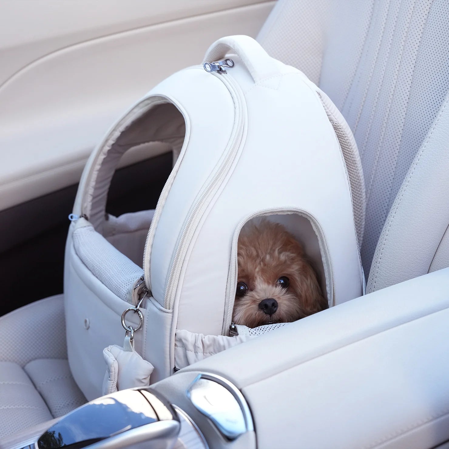 [SO-CA413] SSOOOK DOUBLE WINDOW FRONT BAG - kikiandpuppies