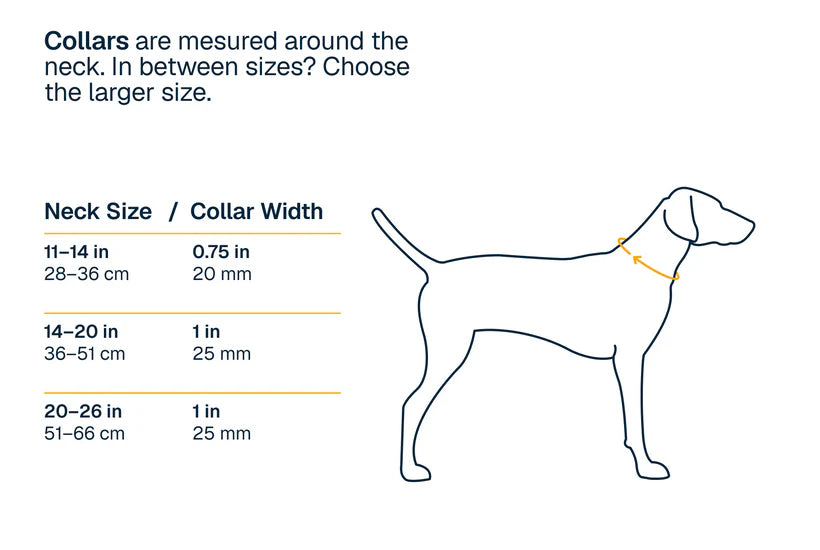 Ridgeline™ Collar - kikiandpuppies
