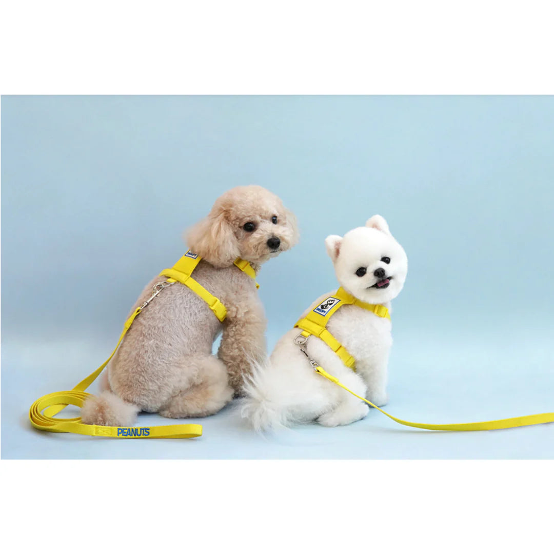 Parisdog Snoopy 2Way Backpack Harness