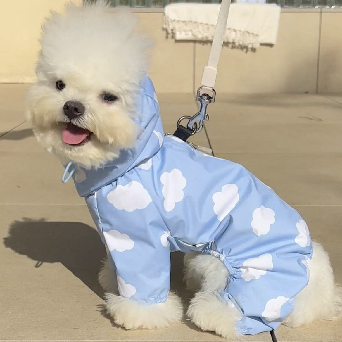 Waterproof Pet Rain Coat with Hood - Full Leg Coverage