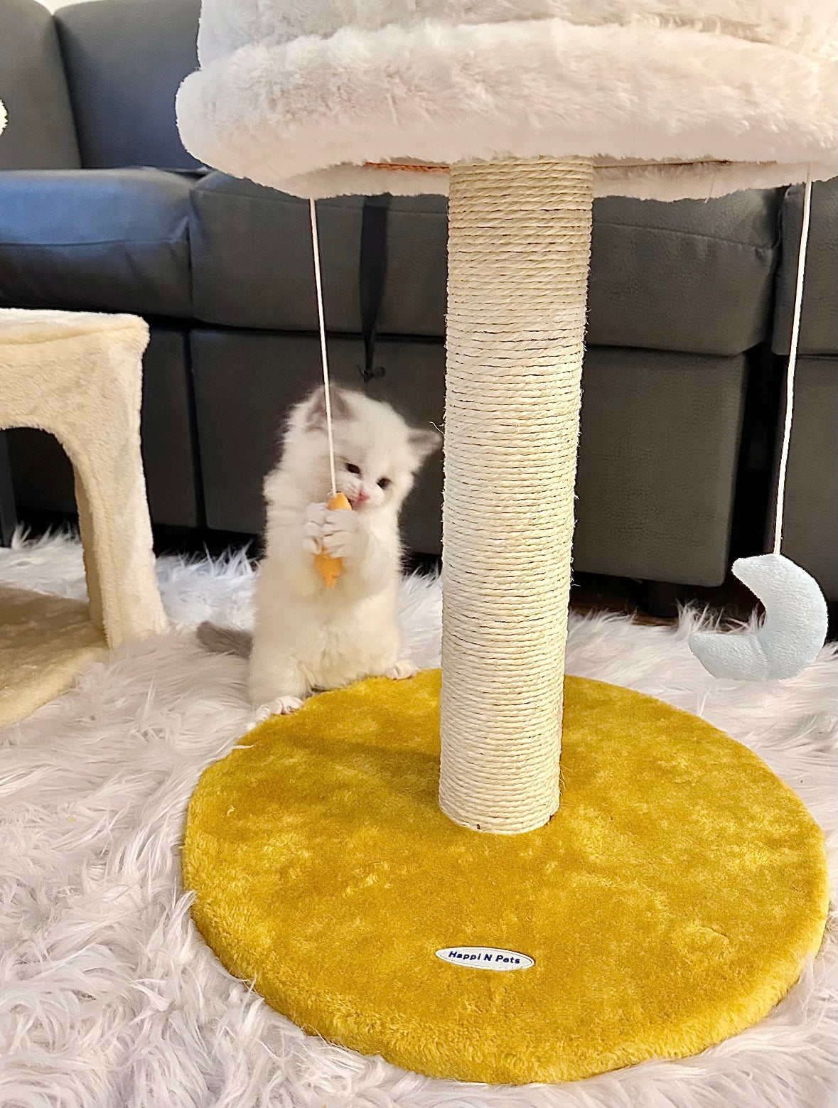 Cloud Flower Cat Tree with Plush Bed – 33cm Removable & Washable Cat Nest for Small Cats and Kittens
